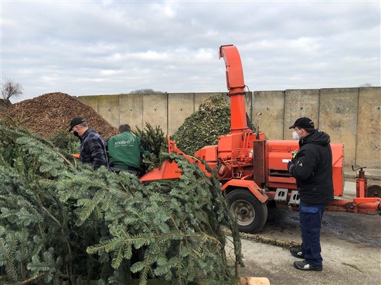 Weihnachtsbaumaktion 2021 1